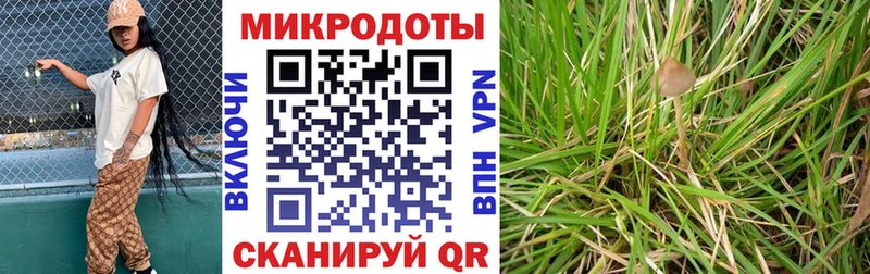 Галлюциногенные грибы прущие грибы  даркнет сайт  Красноярск 
